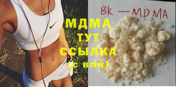 гидра Инта