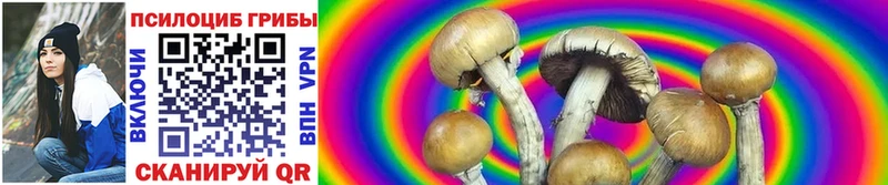 Галлюциногенные грибы Psilocybine cubensis  Купить где  Кировск 